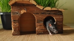 Droga do domu: jak wybrać i jak to zrobić